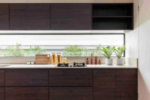 Ephemeral Plywood Kitchen Cabinets