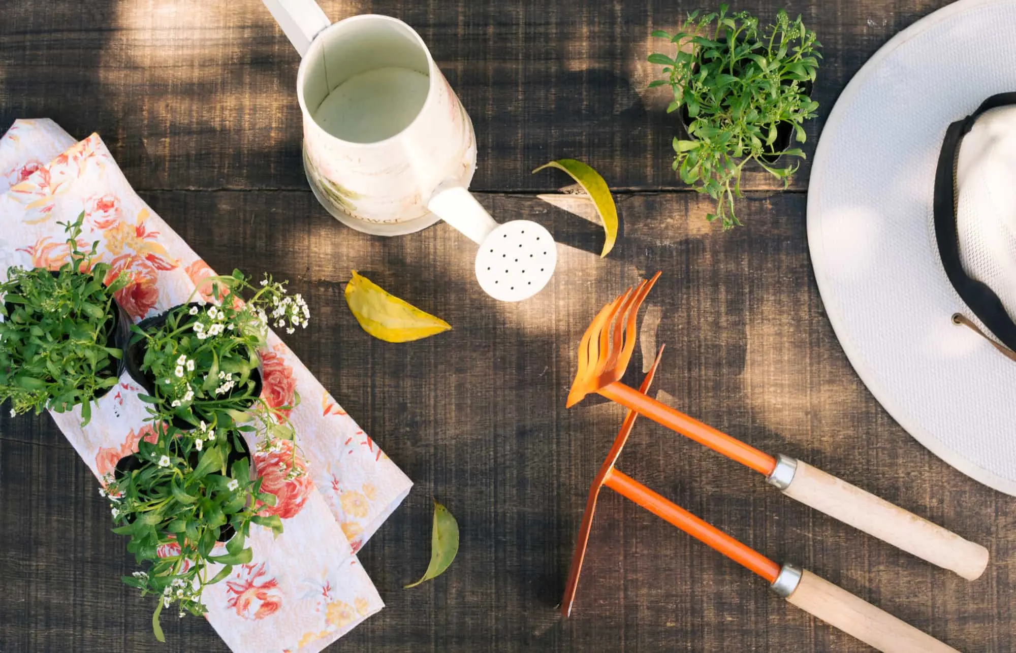 Summer table setting with potted herbs and gardening tools Summer table setting with potted herbs and gardening tools