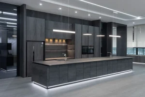 1Modern dark themed kitchen with sleek cabinetry