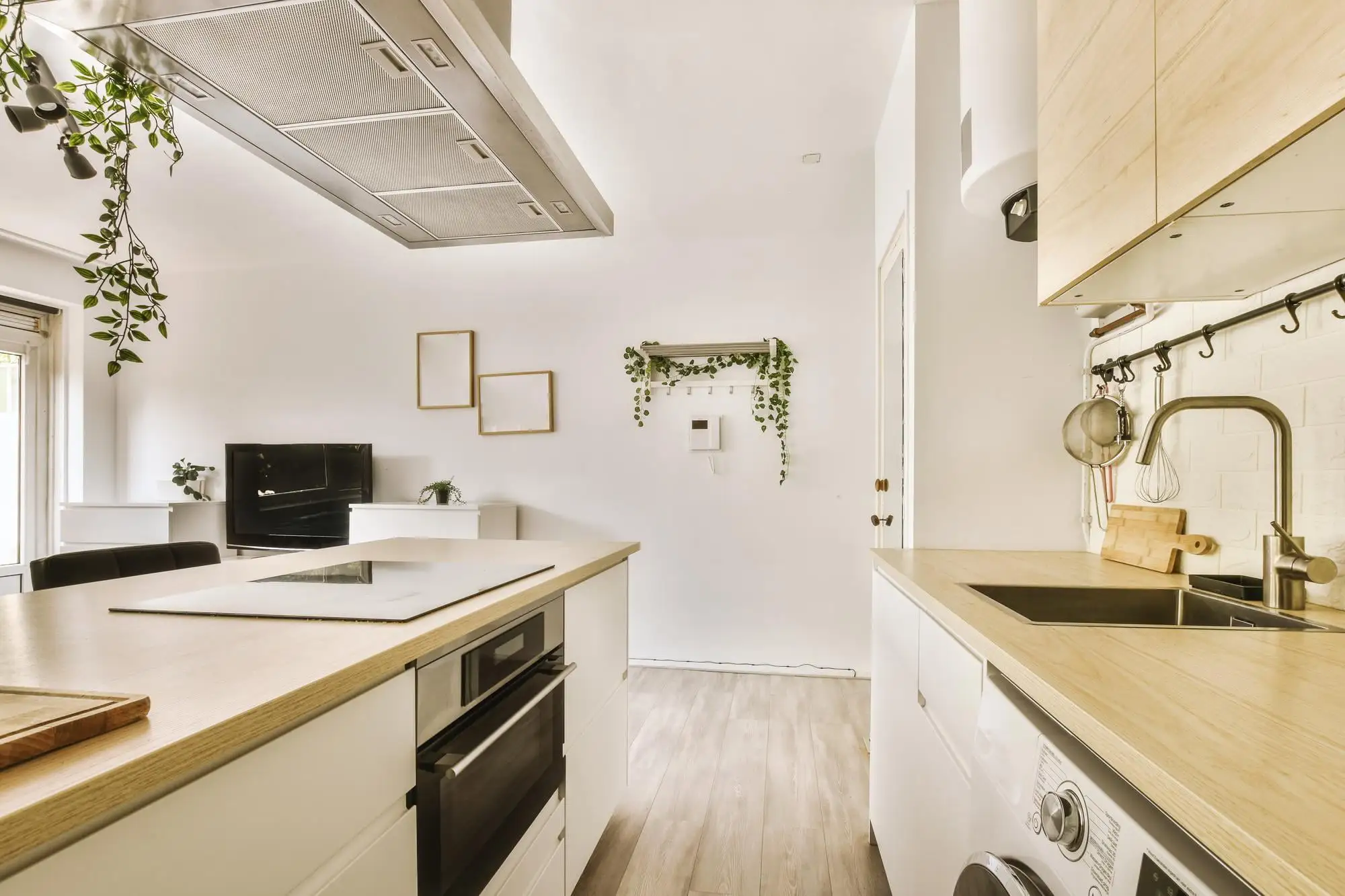 Modern small kitchen with wood accents and hanging plants