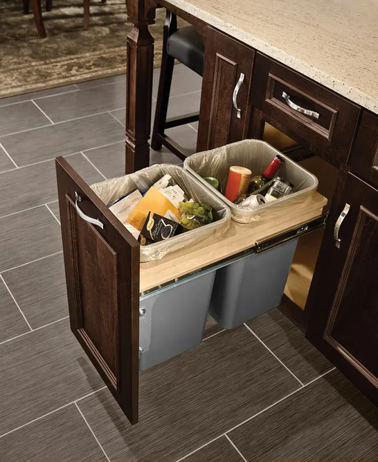 Pull Out Trash and Recycling Bins