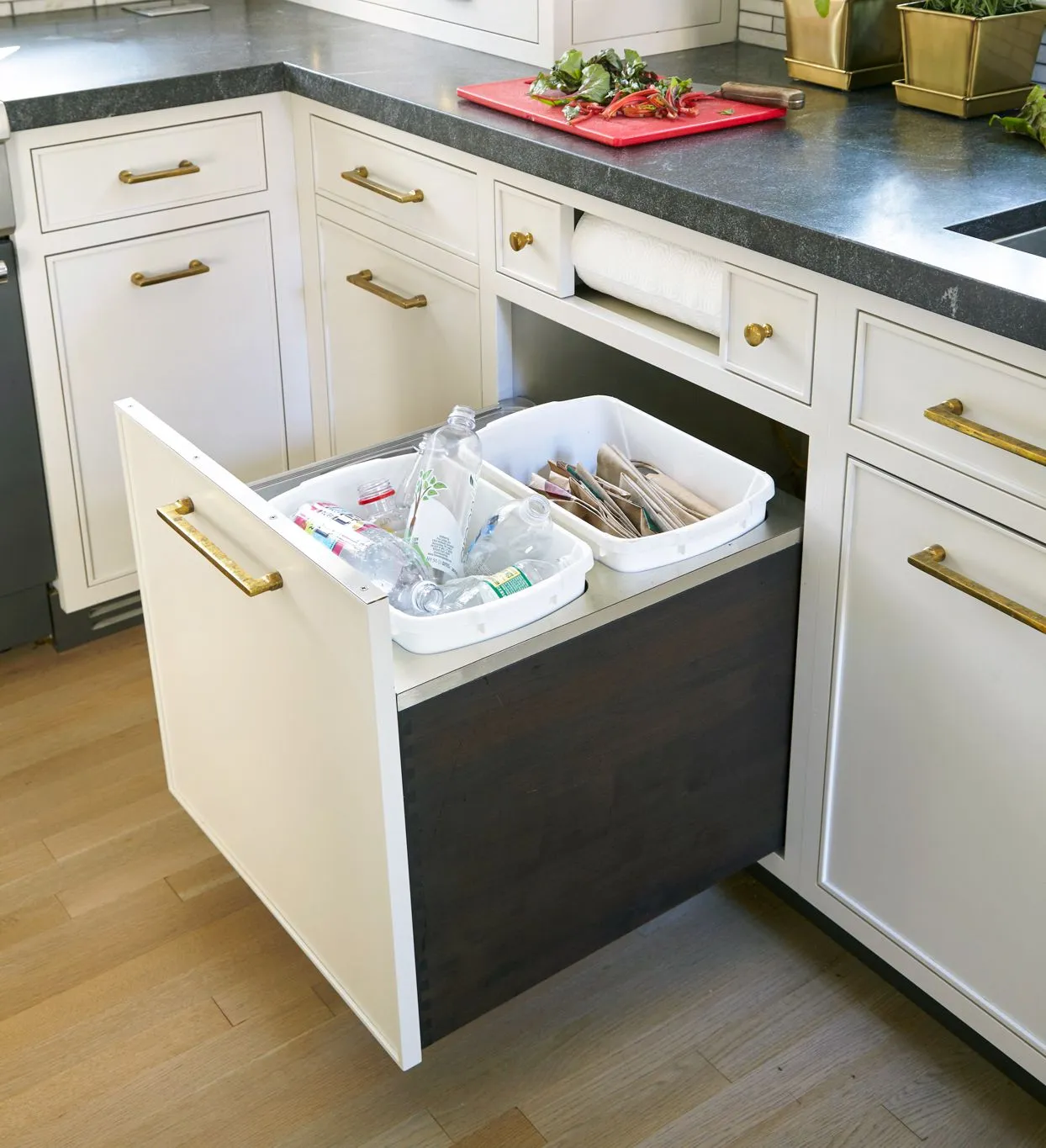 pull out bins and door racks