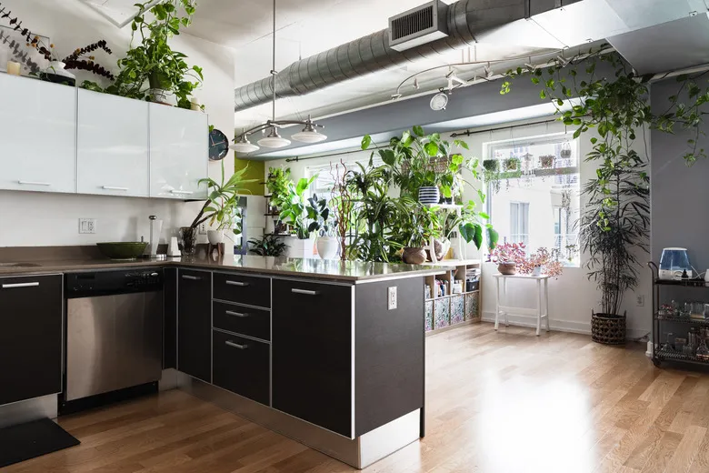 Decoración superior para gabinetes de cocina modernos, use vegetación