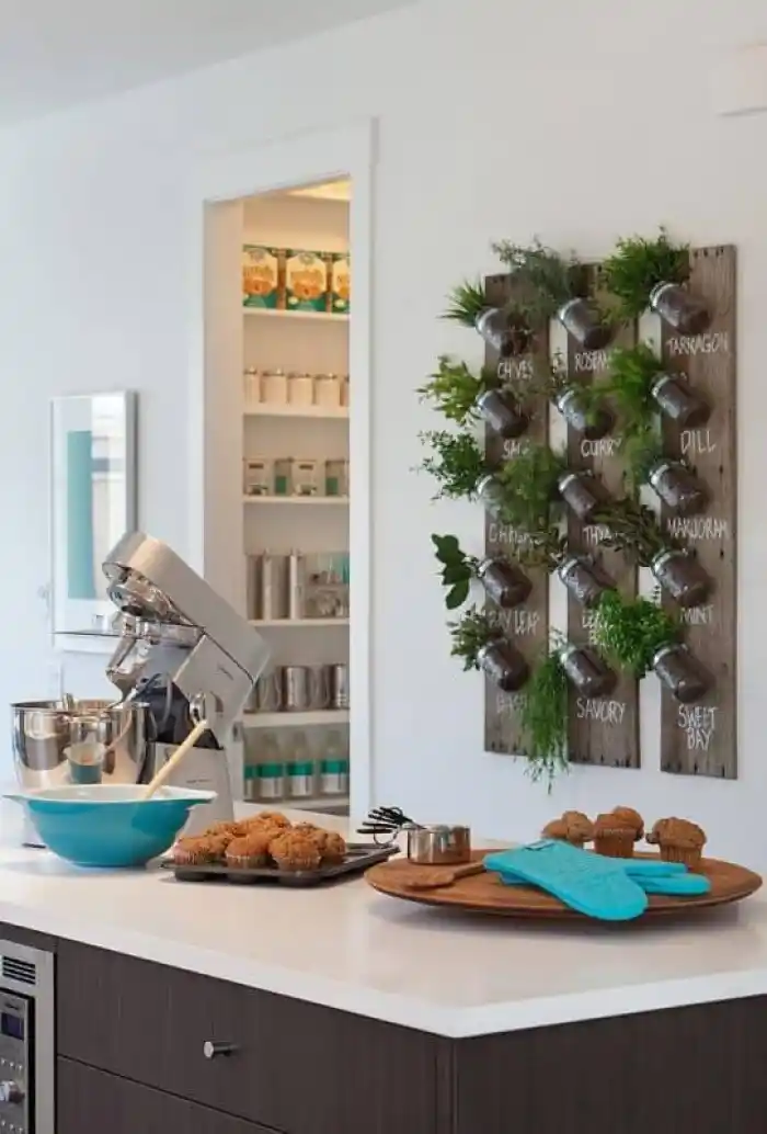 Modern kitchen with wall herb garden and wood cabinets modern Open shelf kitchen cabinets Integrated Herb Gardens