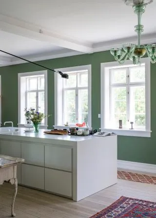 modern white cabinet Olive Green wal