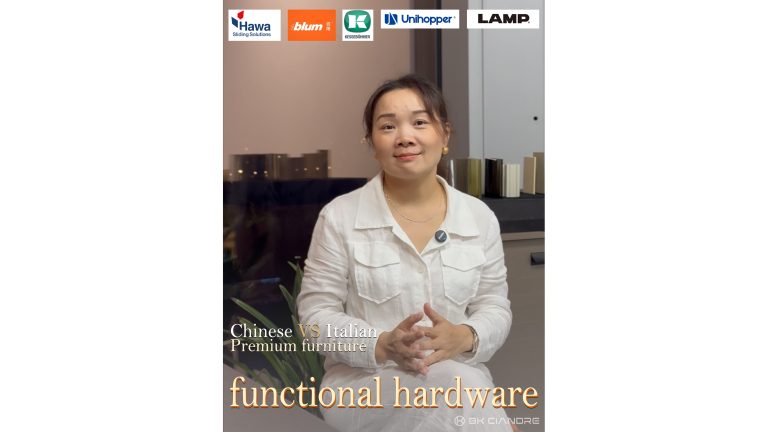 Functional hardware of kitchen cabinet and wardrobe
