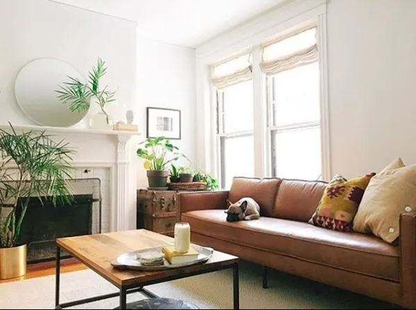 Cozy living room with a couch plants and a candle Cozy living room with a couch plants and a candle