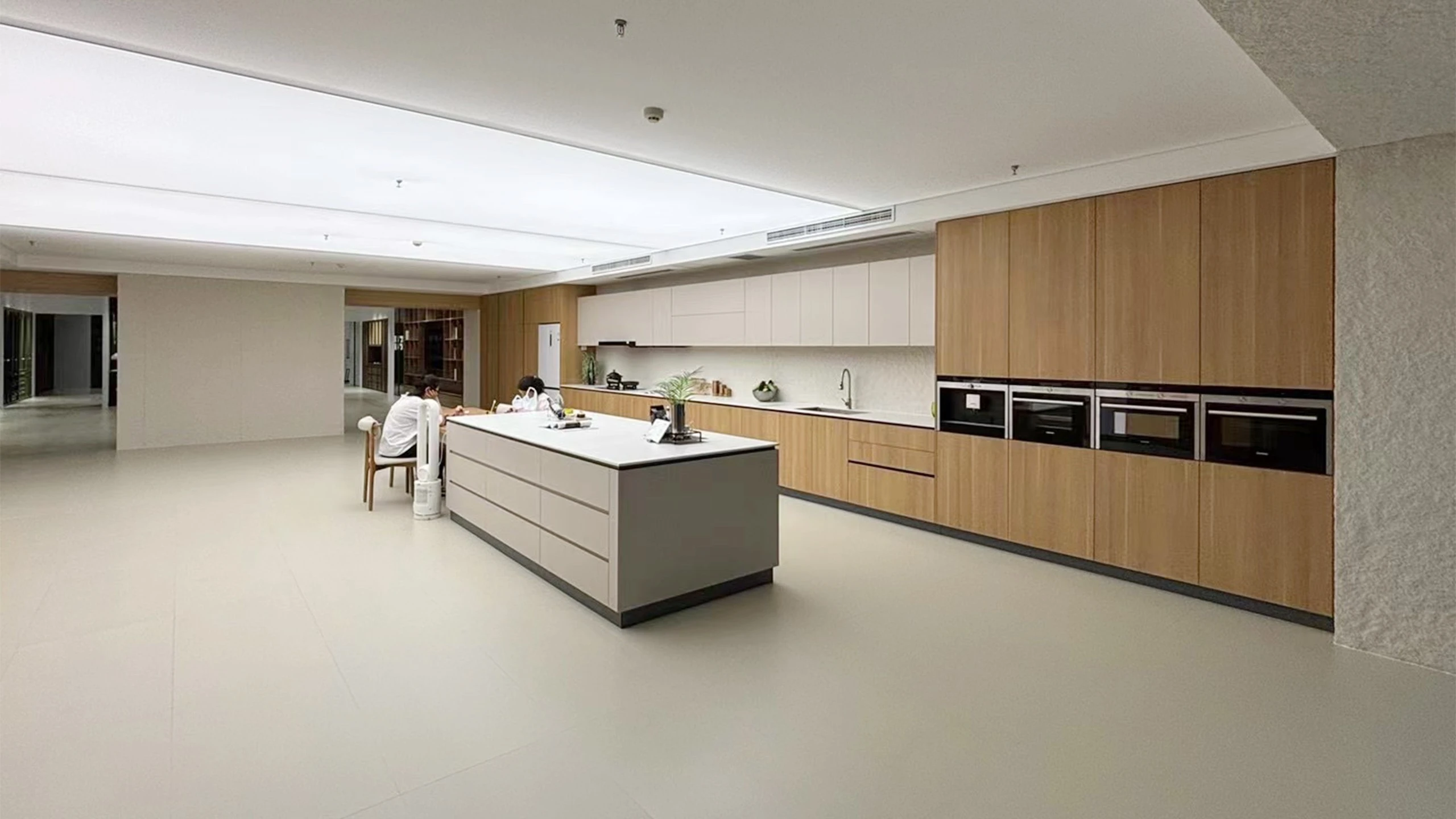 Contemporary Kitchen Design
